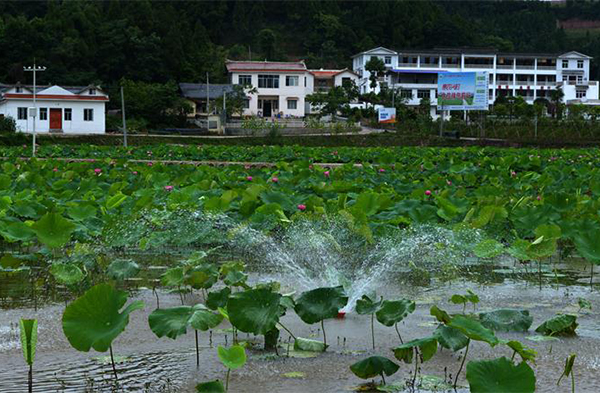 幸福美丽拱市村（一）