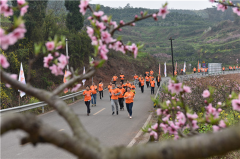 丹棱千人赛跑 乐在花香橘甜的新农村