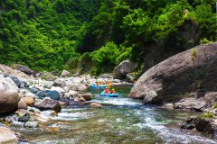 杨兴平出席第十届乡村文化旅游节（夏季）开幕式