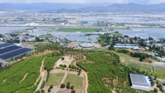 西昌市农文林旅融合发展示范村——“幸福回乡”裕隆乡兴富村