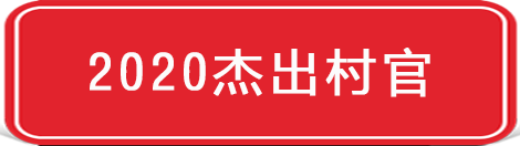 2020杰出村官