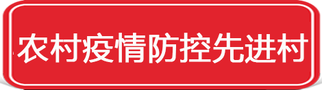 农村疫情防控先进村